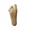 Hard Silicone Foot  + €120.06 