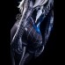 163cm Kitty - SE-Dolls 163cm Kitty - SE-Dolls